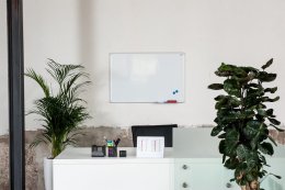 One-piece ceramic marker board