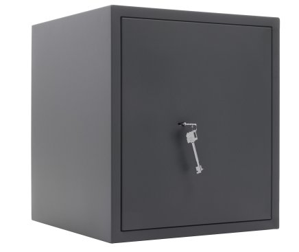 ARS 46 short gun safe - 1