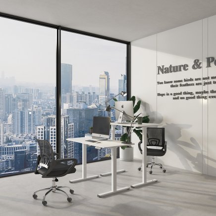 Height-adjustable office desk  FQ2-WW - 3