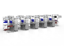 Assembly and completion line with roller conveyor