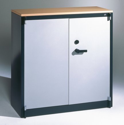 Cabinet with increased fire resistance CP 1181-00 - 1