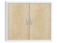 Metal cabinet with laminate doors type SPS 01CL - 1